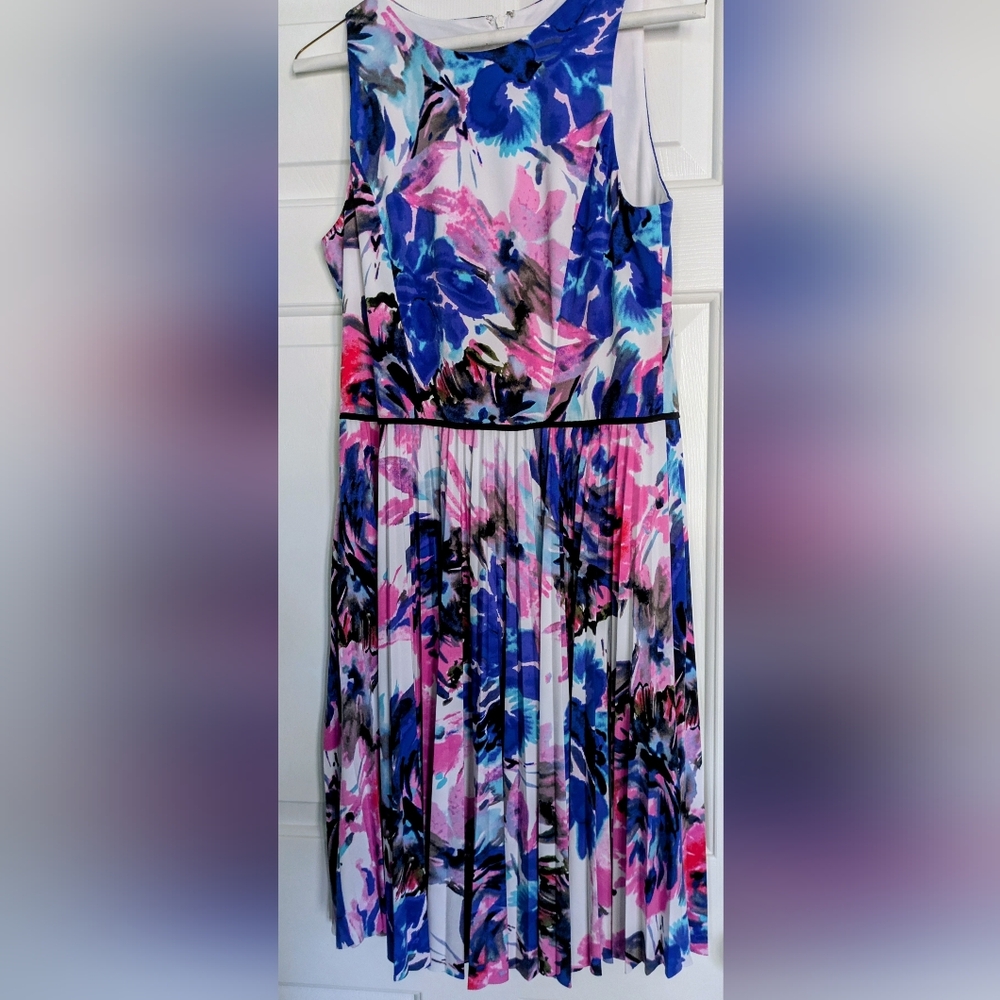Maggy London Pink and Blue Floral Dress